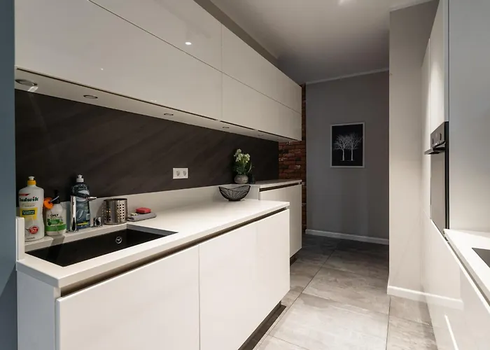 Zabrska 18 Spacious By Bookinghost * Katowice